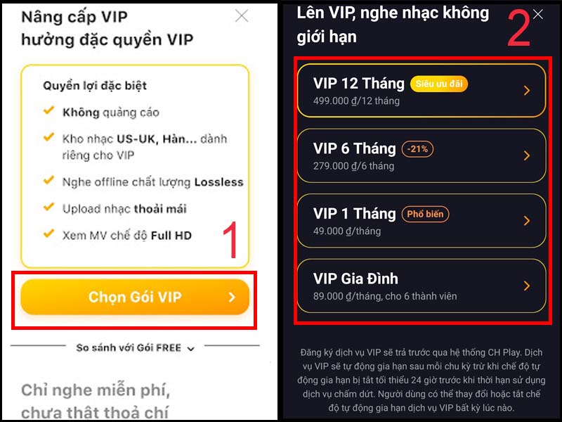 Chọn gói dịch vụ Zing MP3 VIP phù hợp